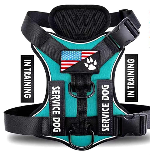 Mocne szelki dla psa SERVICE DOG turkusowe Mocne szelki dla psa SERVICE DOG turkusowe